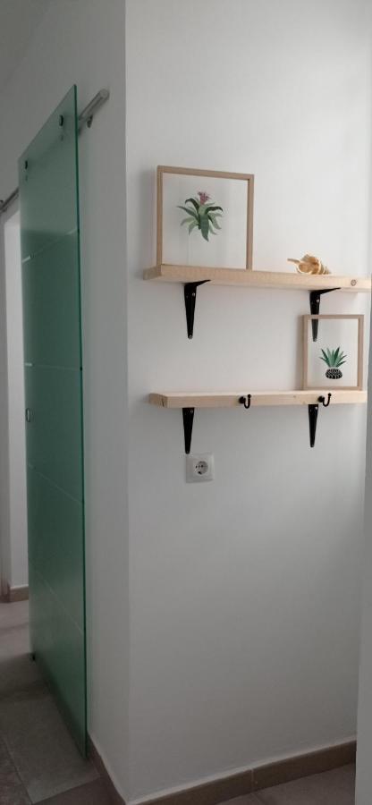 Apartamento Casco Historico Con Atico.