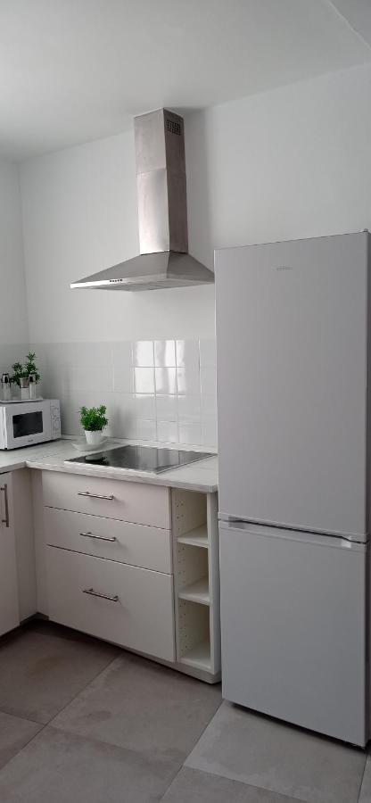 Apartamento Casco Historico Con Atico. Appartement